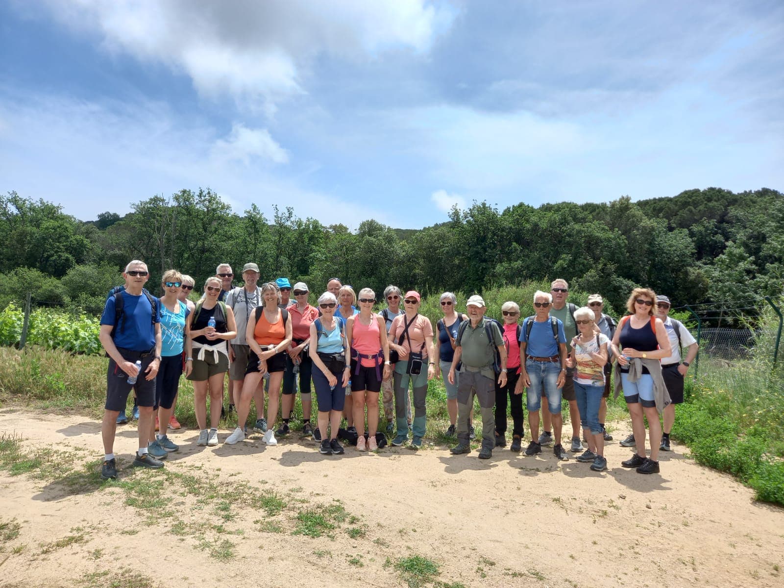 Vineyard Visit and Cava Tasting in Blanes – Ses Vernes